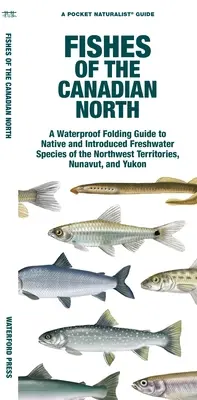 Halak a kanadai északon: Az Északnyugati Területek, Nunavut és Yukon őshonos és betelepített édesvízi fajainak vízálló, összecsukható kalauza. - Fishes of the Canadian North: A Waterproof Folding Guide to Native and Introduced Freshwater Species of the Northwest Territories, Nunavut and Yukon