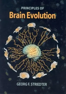 Az agyi evolúció alapelvei - Principles of Brain Evolution