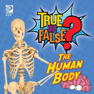 Igaz vagy hamis? Az emberi test - True or False? The Human Body