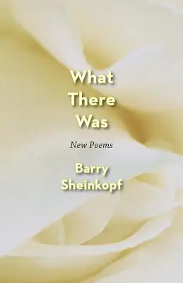 Ami volt: New Poems - What There Was: New Poems