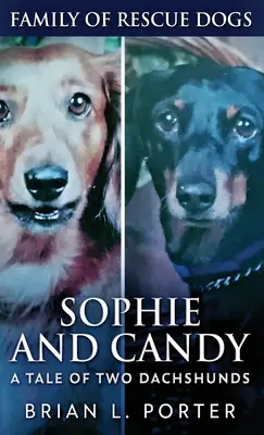 Sophie és Candy - Két tacskó története - Sophie and Candy - A Tale of Two Dachshunds