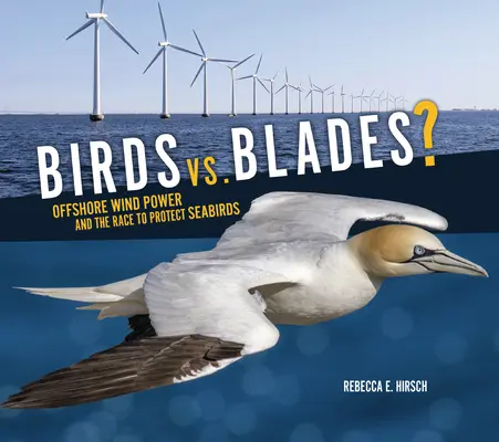 Madarak kontra pengék? A tengeri szélenergia és a tengeri madarak védelméért folytatott verseny - Birds vs. Blades?: Offshore Wind Power and the Race to Protect Seabirds