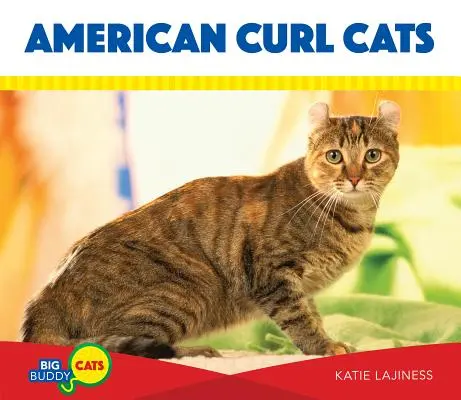 American Curl Cats