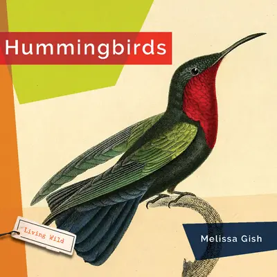 Kolibrik - Hummingbirds