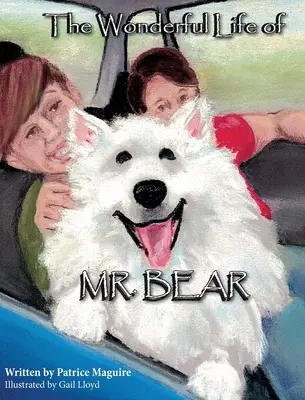 Medve úr csodálatos élete - The Wonderful Life of Mr. Bear