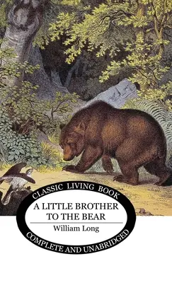 A medve kistestvére - Little Brother to the Bear