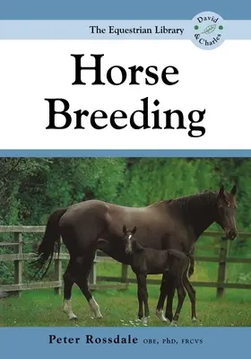 Lótenyésztés - Horse Breeding