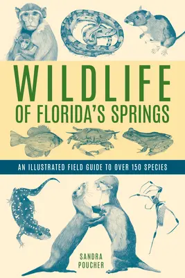A floridai források vadvilága: Több mint 150 faj illusztrált terepi útmutatója - Wildlife of Florida's Springs: An Illustrated Field Guide to Over 150 Species