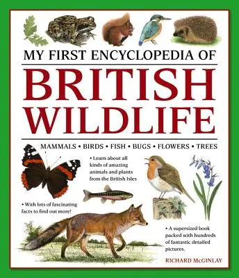 A brit vadvilág első enciklopédiája: Emlősök, madarak, halak, bogarak, virágok, fák - My First Encylopedia of British Wildlife: Mammals, Birds, Fish, Bugs, Flowers, Trees