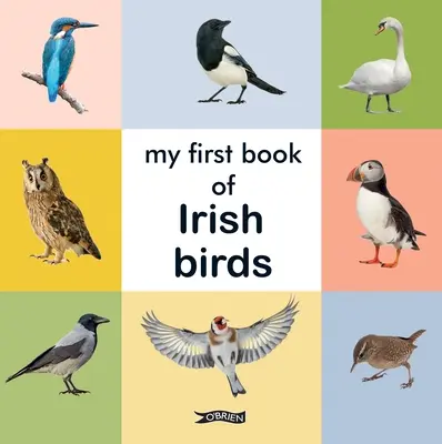 Az első könyvem az ír madarakról - My First Book of Irish Birds