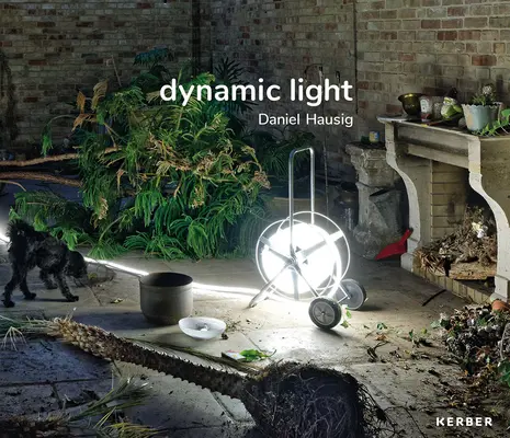 Daniel Hausig: Hausig: Dynamic Light - Daniel Hausig: Dynamic Light