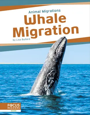 Bálnavándorlás - Whale Migration