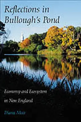 Tükröződések a Bullough's Pondban: Gazdaság és ökoszisztéma Új-Angliában - Reflections in Bullough's Pond: Economy and Ecosystem in New England