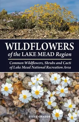 A Mead-tó régió vadvirágai - Wildflowers of the Lake Mead Region