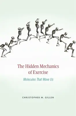 A testmozgás rejtett mechanikája: Molekulák, amelyek mozgatnak minket - Hidden Mechanics of Exercise: Molecules That Move Us