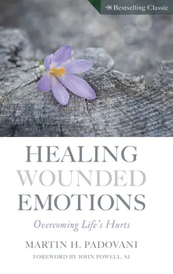 Sebzett érzelmek gyógyítása: Az élet fájdalmainak leküzdése - Healing Wounded Emotions: Overcoming Life's Hurts