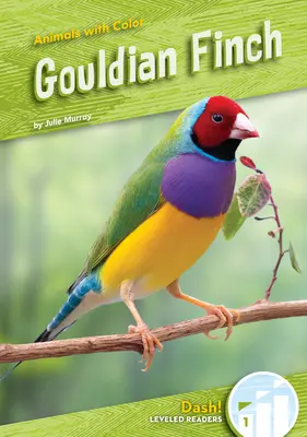 Gouldi pinty - Gouldian Finch