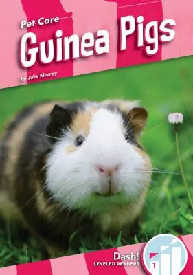 Tengerimalacok - Guinea Pigs