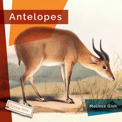 Antilopok - Antelopes