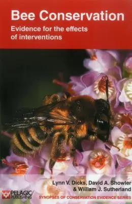 Méhvédelem: A beavatkozások hatásainak bizonyítékai - Bee Conservation: Evidence for the effects of interventions