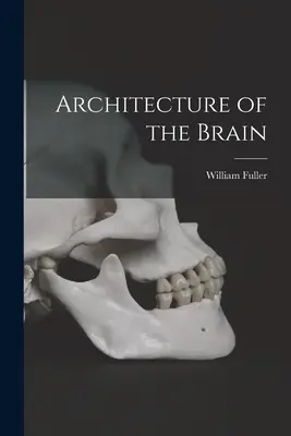 Az agy felépítése - Architecture of the Brain