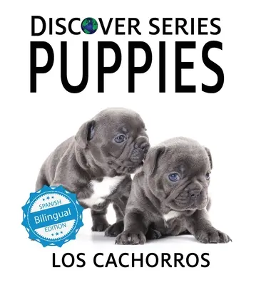 Kiskutyák / Los cachorros - Puppies / Los cachorros