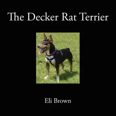 A Decker Ratterrier - The Decker Rat Terrier