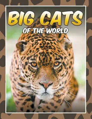 A világ nagymacskái - Big Cats of the World