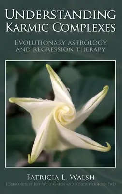 A karmikus komplexusok megértése - Understanding Karmic Complexes