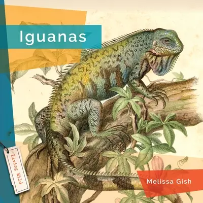 Leguánok - Iguanas