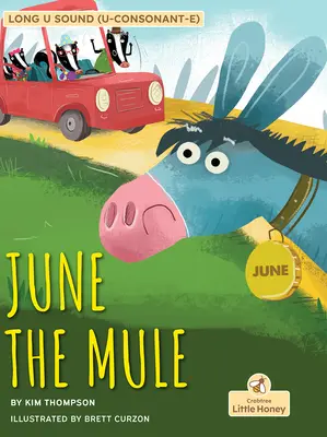 Június, az öszvér. - June the Mule