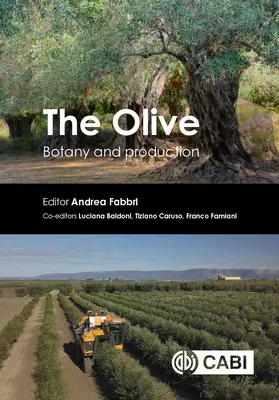 Az olajbogyó: Botanika és termesztés - The Olive: Botany and Production