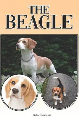 A Beagle: A Complete and Comprehensive Beginners Guide To: Vásárlás, birtoklás, egészség, ápolás, kiképzés, engedelmesség, megértés. - The Beagle: A Complete and Comprehensive Beginners Guide To: Buying, Owning, Health, Grooming, Training, Obedience, Understanding