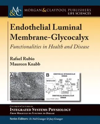 Endothelial Luminal Membrane-Glycocalyx: Funkcionalitások az egészségben és a betegségben - Endothelial Luminal Membrane-Glycocalyx: Functionalities in Health and Disease