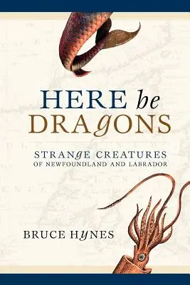 Here Be Dragons