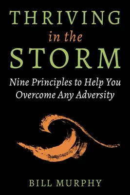 Gyarapodás a viharban: Kilenc alapelv, amelyek segítenek legyőzni minden csapást - Thriving in the Storm: Nine Principles to Help You Overcome Any Adversity