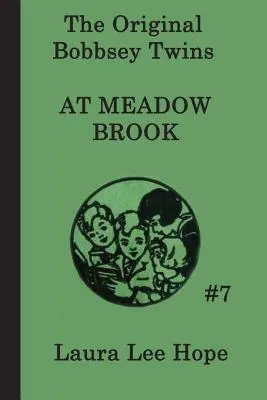 A Bobbsey-ikrek a Meadow Brookban - The Bobbsey Twins at Meadow Brook