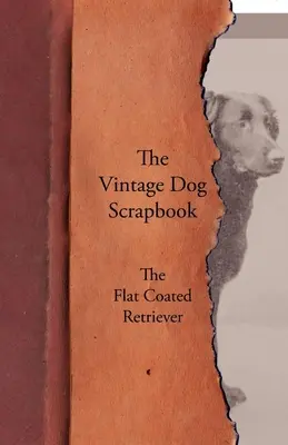 A Vintage Dog Scrapbook - A Flat Coated Retriever - The Vintage Dog Scrapbook - The Flat Coated Retriever