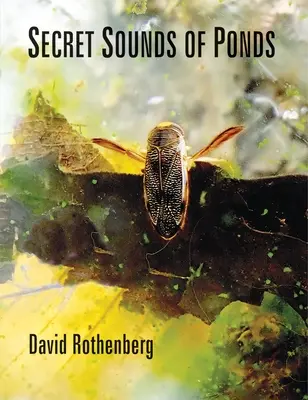 A tavak titkos hangjai - Secret Sounds of Ponds