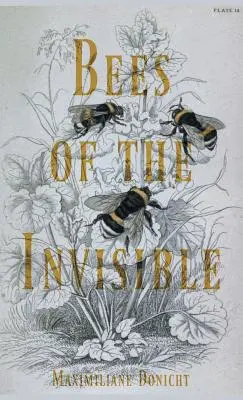 A láthatatlan méhek - Bees of the Invisible