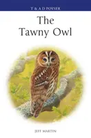 Fekete bagoly - Tawny Owl