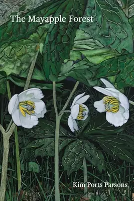 A májusfa-erdő - The Mayapple Forest