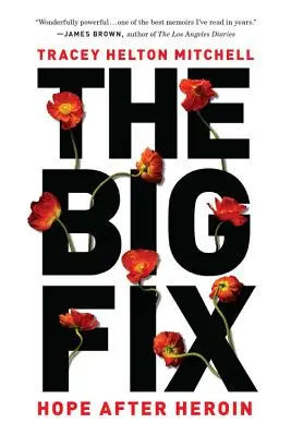 A nagy javítás: Remény a heroin után - The Big Fix: Hope After Heroin