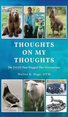 Gondolatok a gondolataimról: A mesék, hogy csóválta ezt az állatorvos - Thoughts On My Thoughts: The Tales That Wagged This Veterinarian