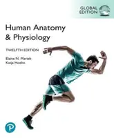 Emberi anatómia és élettan, globális kiadás - Human Anatomy & Physiology, Global Edition