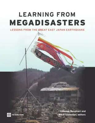 Tanulás a megakatasztrófákból - Learning from Megadisasters