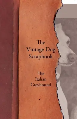 The Vintage Dog Scrapbook - Az olasz agár - The Vintage Dog Scrapbook - The Italian Greyhound