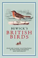 Bewick brit madarai - A híres metsző és természettudós több mint 180 klasszikus illusztrációja - Bewick's British Birds - Over 180 Classic Illustrations by the Famed Engraver and Naturalist