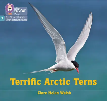 Félelmetes sarkvidéki csérek - 3. fázis 2. készlet - Terrific Arctic Terns - Phase 3 Set 2