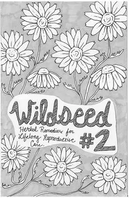 Wildseed Feminism #2: Gyógynövényes gyógymódok az élethosszig tartó reprodukciós gondoskodásért - Wildseed Feminism #2: Herbal Remedies for Lifelong Reproductive Care